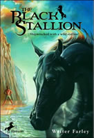 The Black Stallion book cover